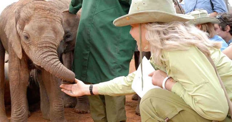 Daphne Sheldrick Elephant Orphanage Kenya Safaris 